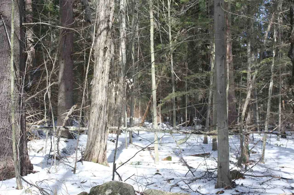 00 West Shore Road Bristol NH 03222