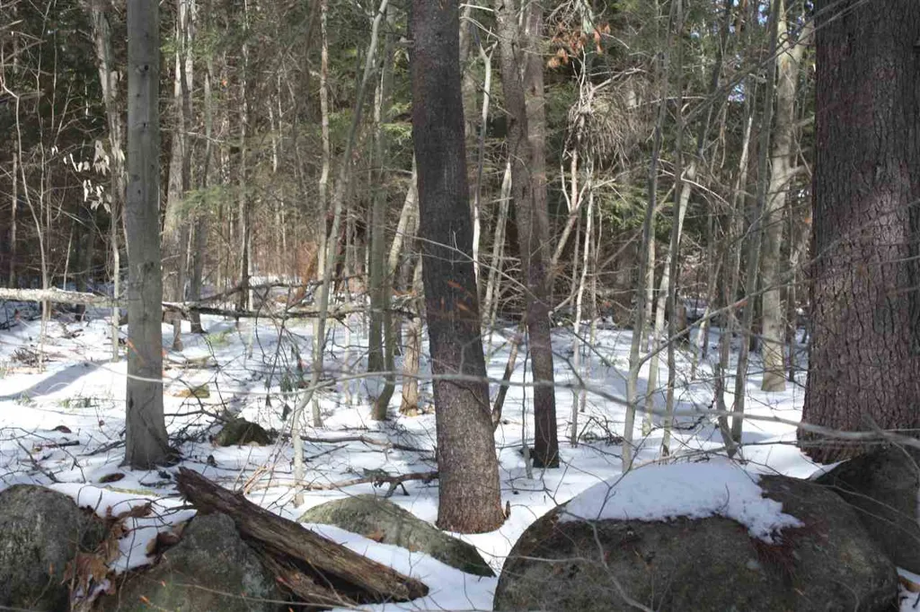 00 West Shore Road Bristol NH 03222