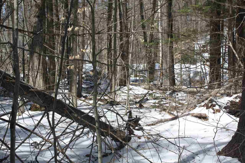00 West Shore Road Bristol NH 03222