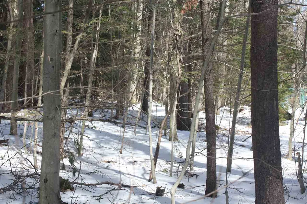 00 West Shore Road Bristol NH 03222