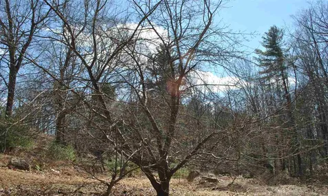78 Mountain Road Raymond NH 03077