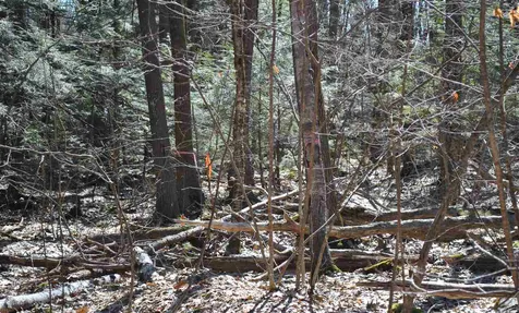 76 Mountain Road Raymond NH 03077