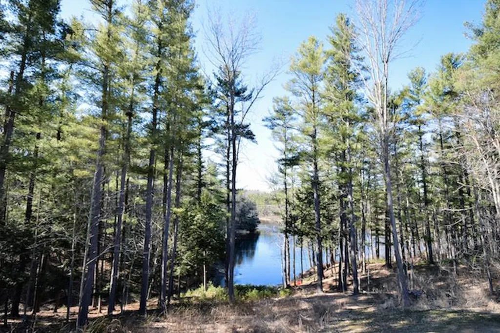 38 Mallard Lane Dover NH 03820