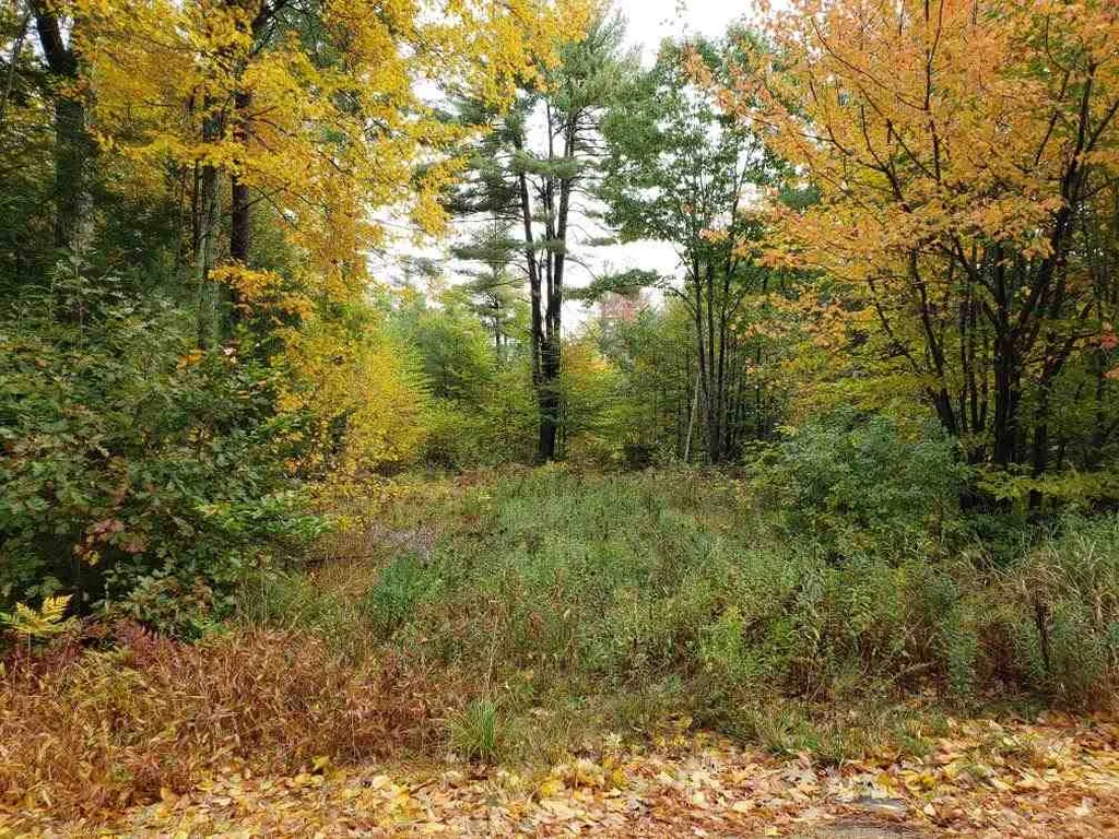 176 Patten Hill Road Candia NH 03034