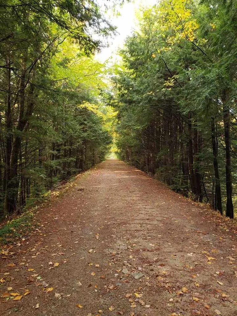 168 Patten Hill Road Candia NH 03034