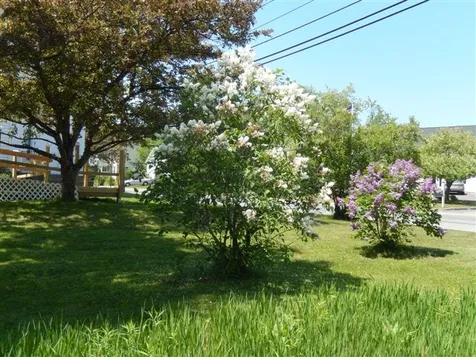 1156 Us Route 4 Canaan NH 03741