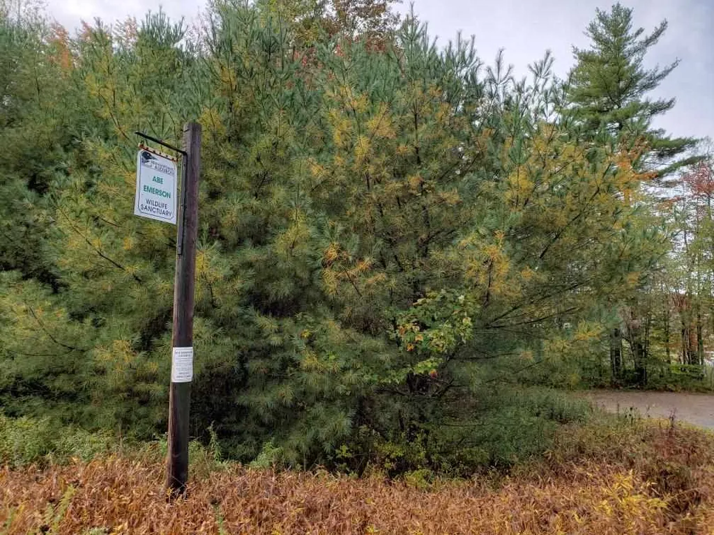 182 Patten Hill Road Candia NH 03034