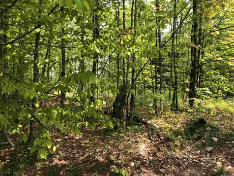 784 Thompson Hill Road Hyde Park VT 05655