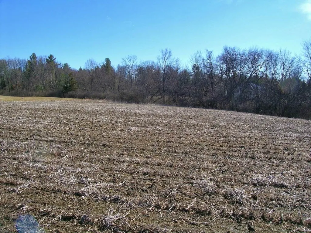 46 Mount Philo Road Shelburne VT 05482