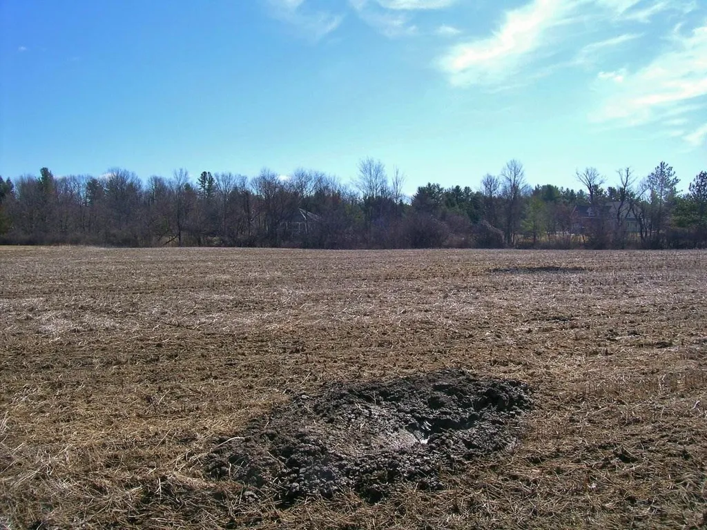 46 Mount Philo Road Shelburne VT 05482