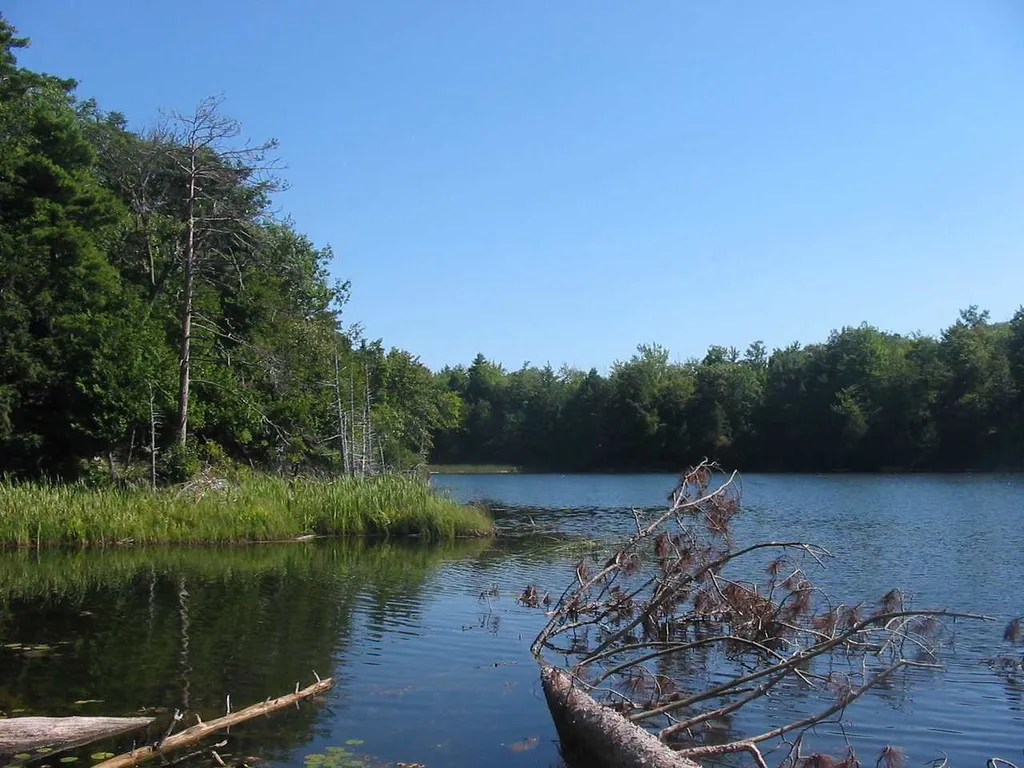 00 Beebe Hill Road Milton VT 05468