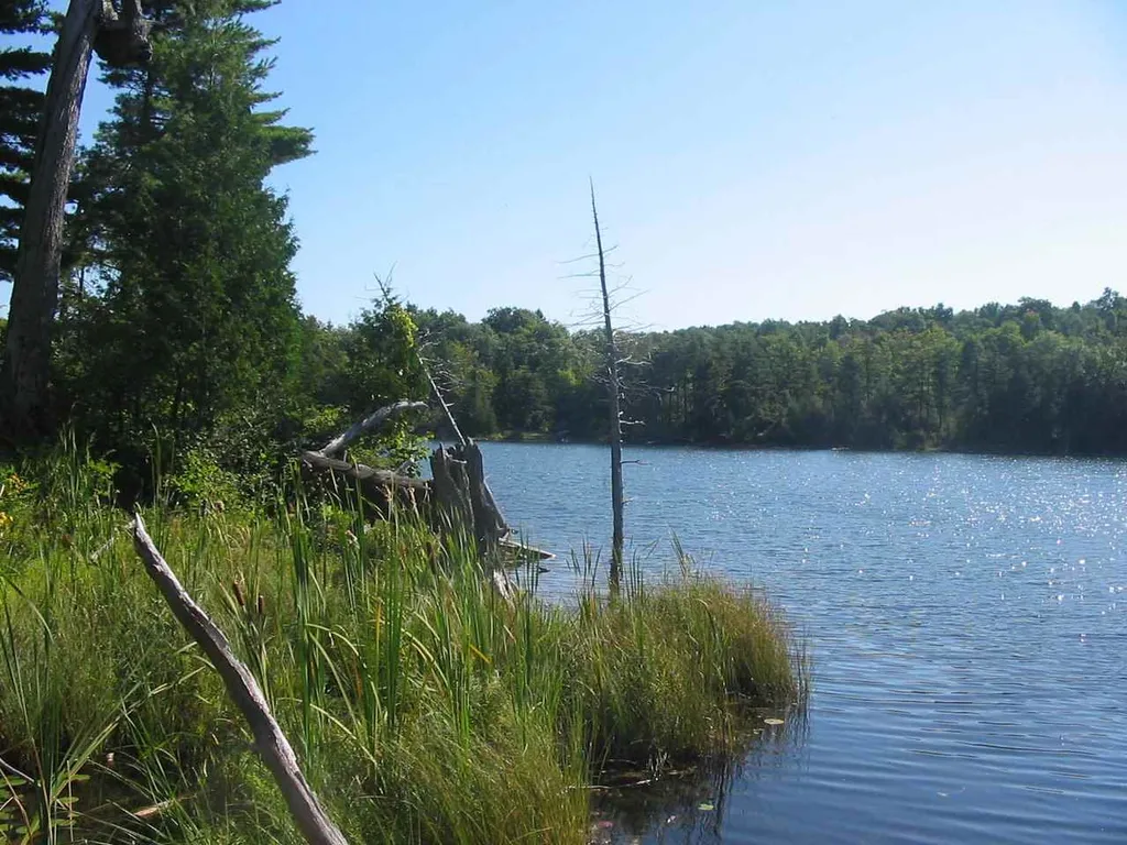 00 Beebe Hill Road Milton VT 05468