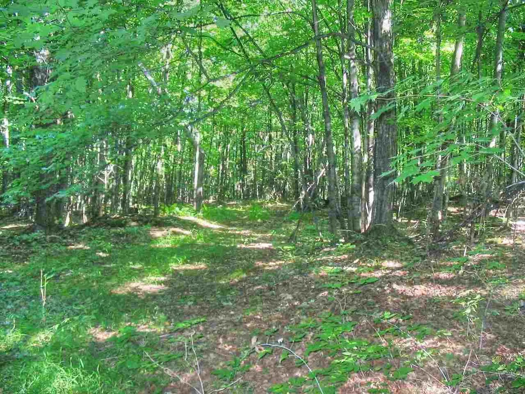 00 Beebe Hill Road Milton VT 05468