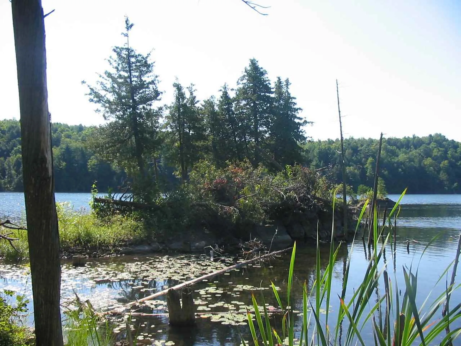 00 Beebe Hill Road Milton VT 05468