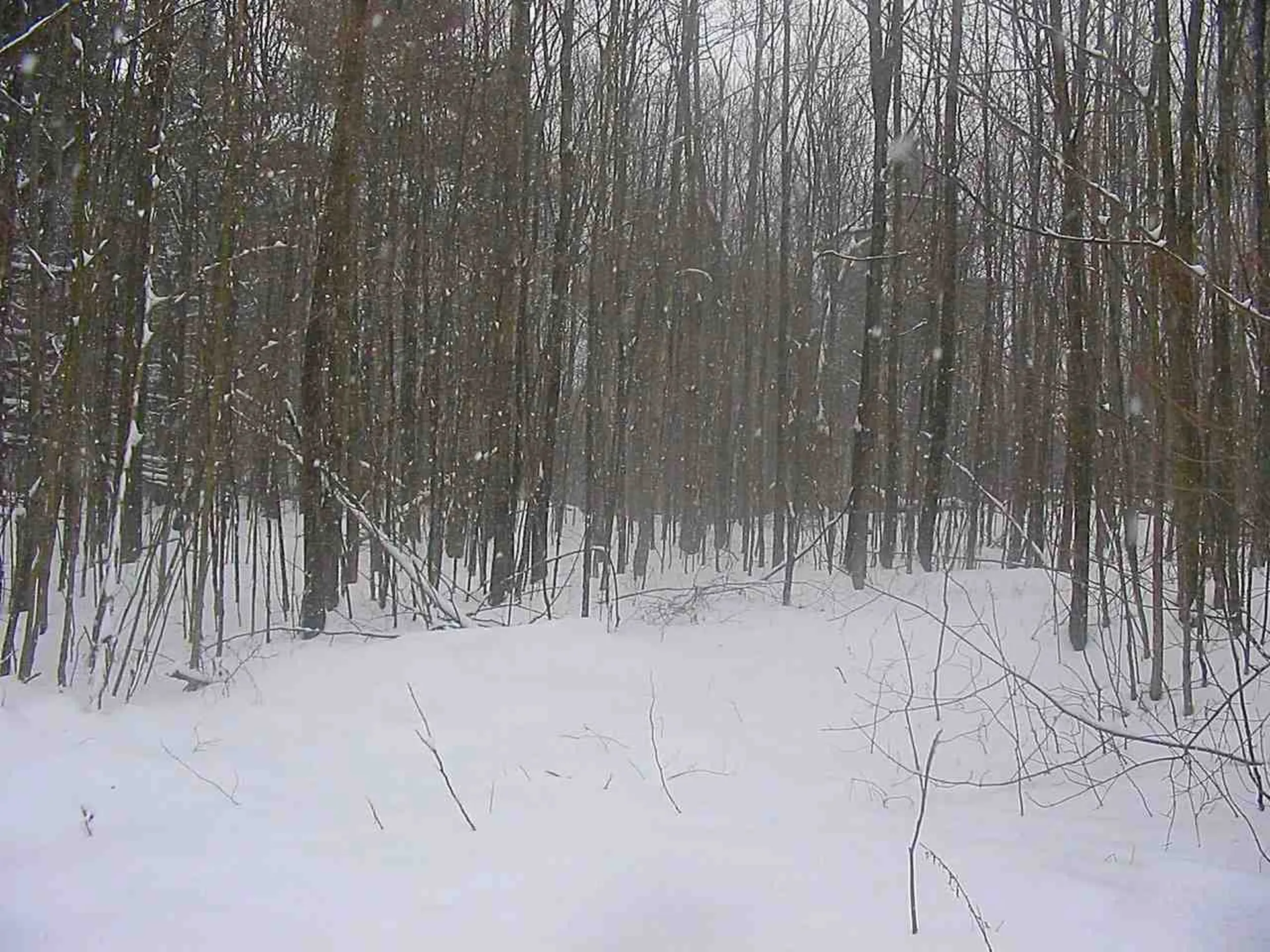 00 Beebe Hill Road Milton VT 05468
