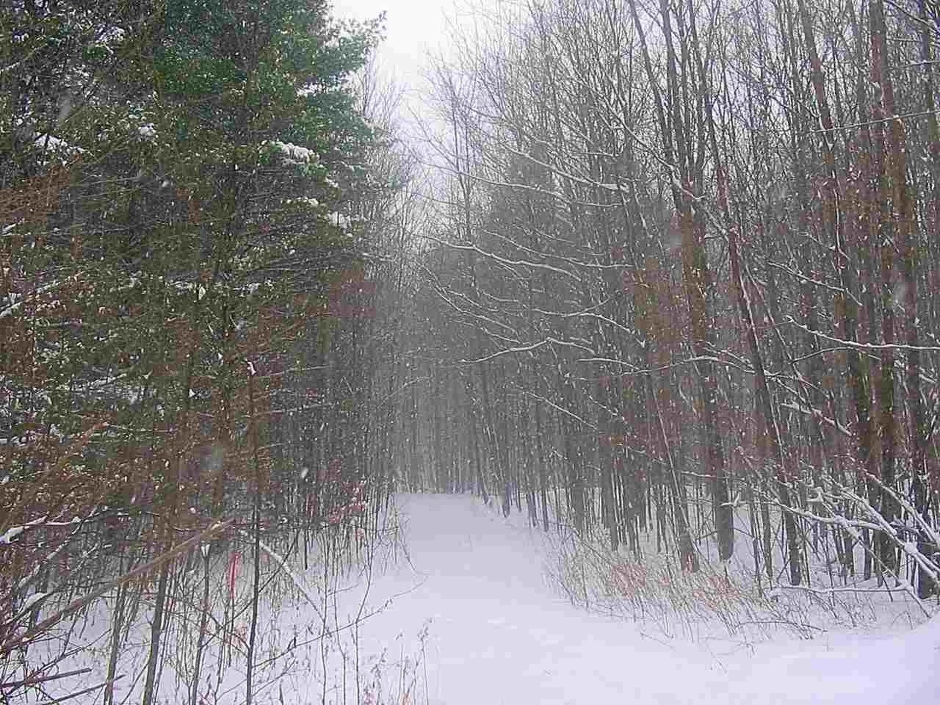 00 Beebe Hill Road Milton VT 05468
