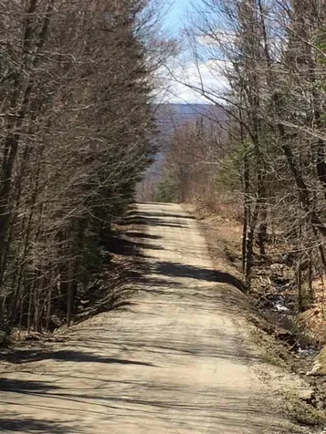 56 Drake Place Road Sheffield VT 05866