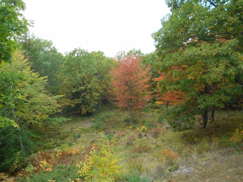 84 Cotton Hill Road Belmont NH 03220