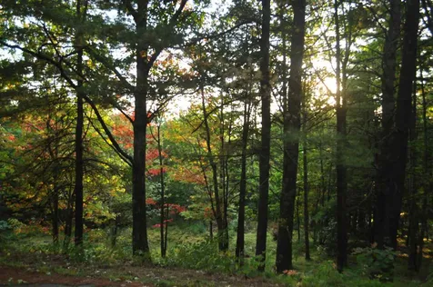 84 Cotton Hill Road Belmont NH 03220