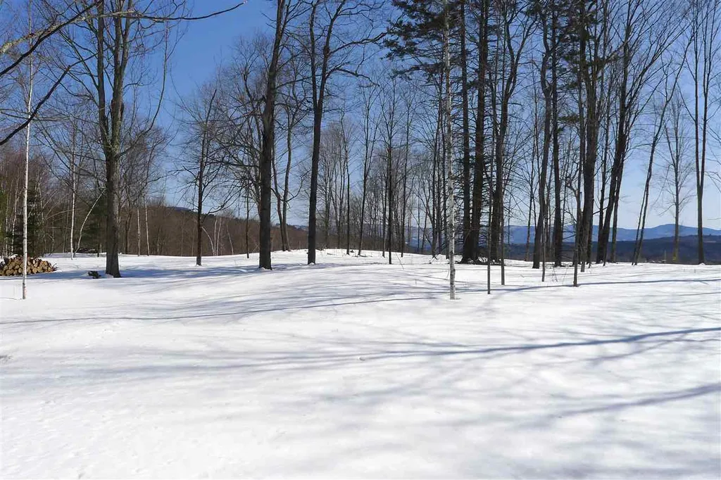 237 Farm Hill Road Morristown VT 05661