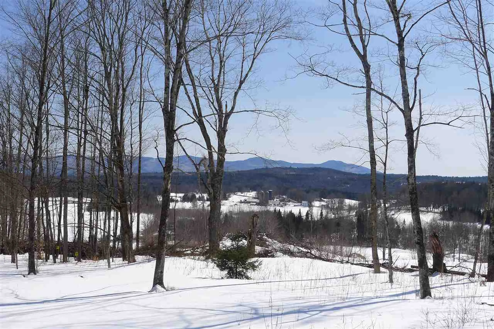 237 Farm Hill Road Morristown VT 05661