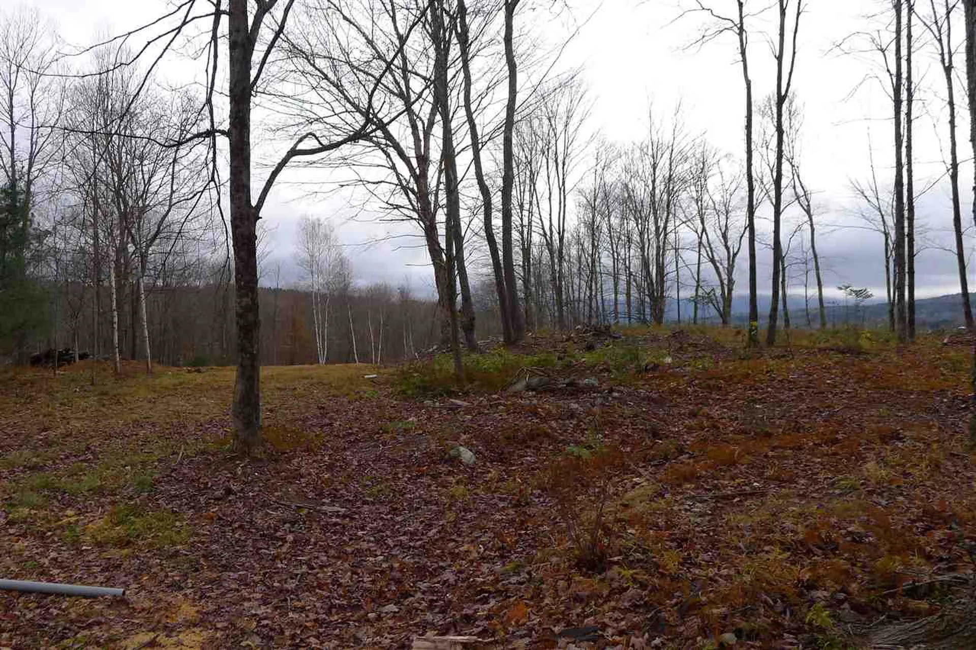 237 Farm Hill Road Morristown VT 05661