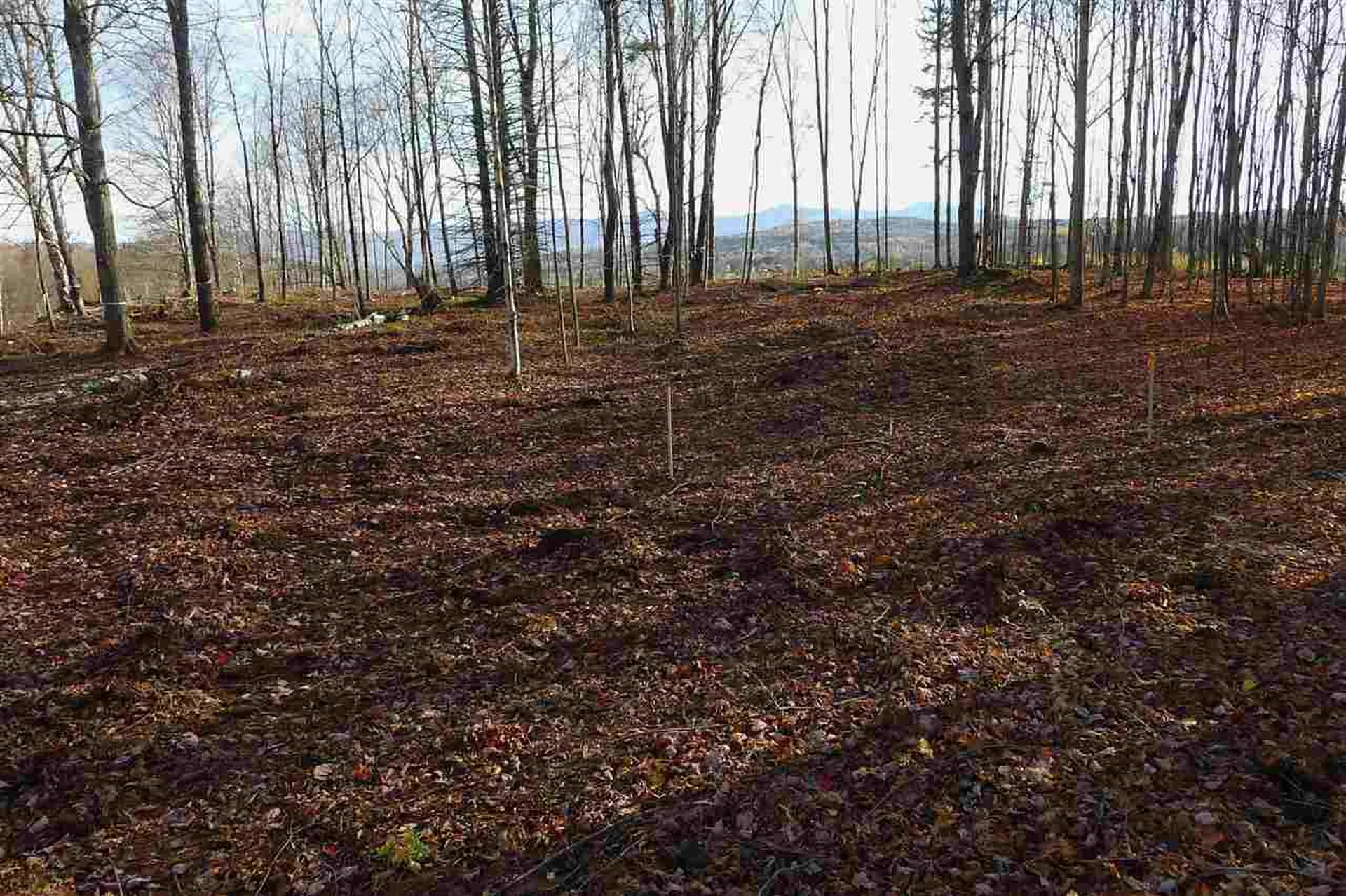 237 Farm Hill Road Morristown VT 05661