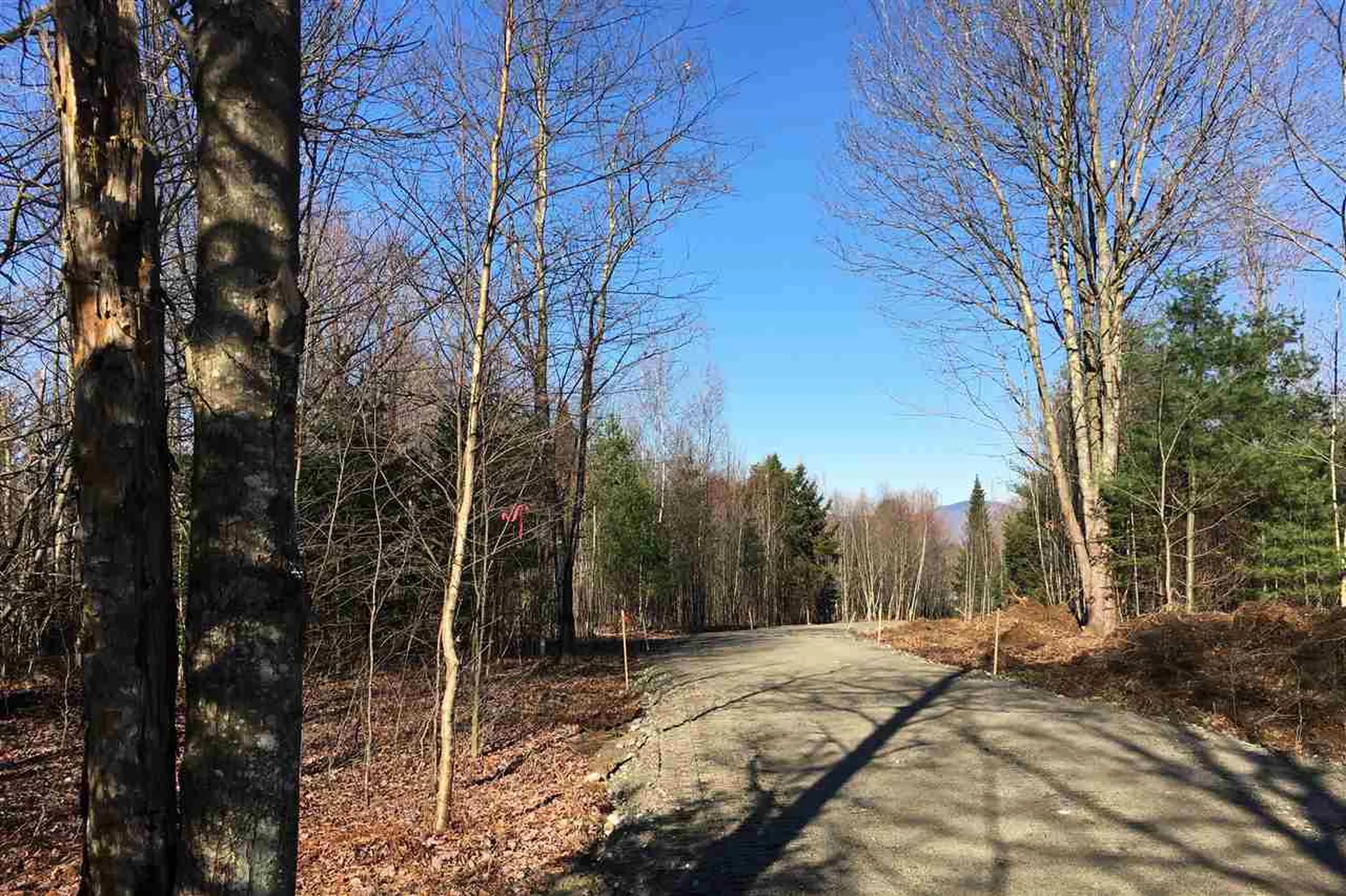 237 Farm Hill Road Morristown VT 05661
