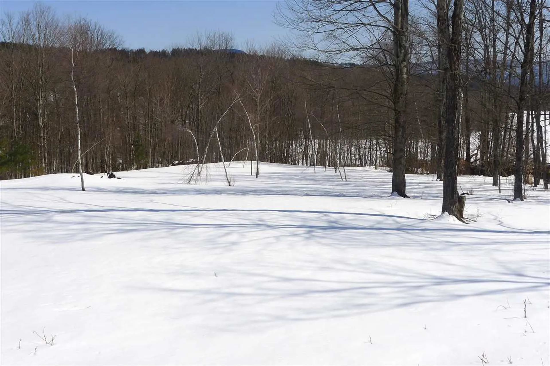 237 Farm Hill Road Morristown VT 05661