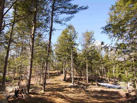 99 Murphy Road Peterborough NH 03458