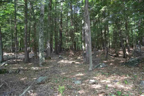 13 Welch Island Gilford NH 03249