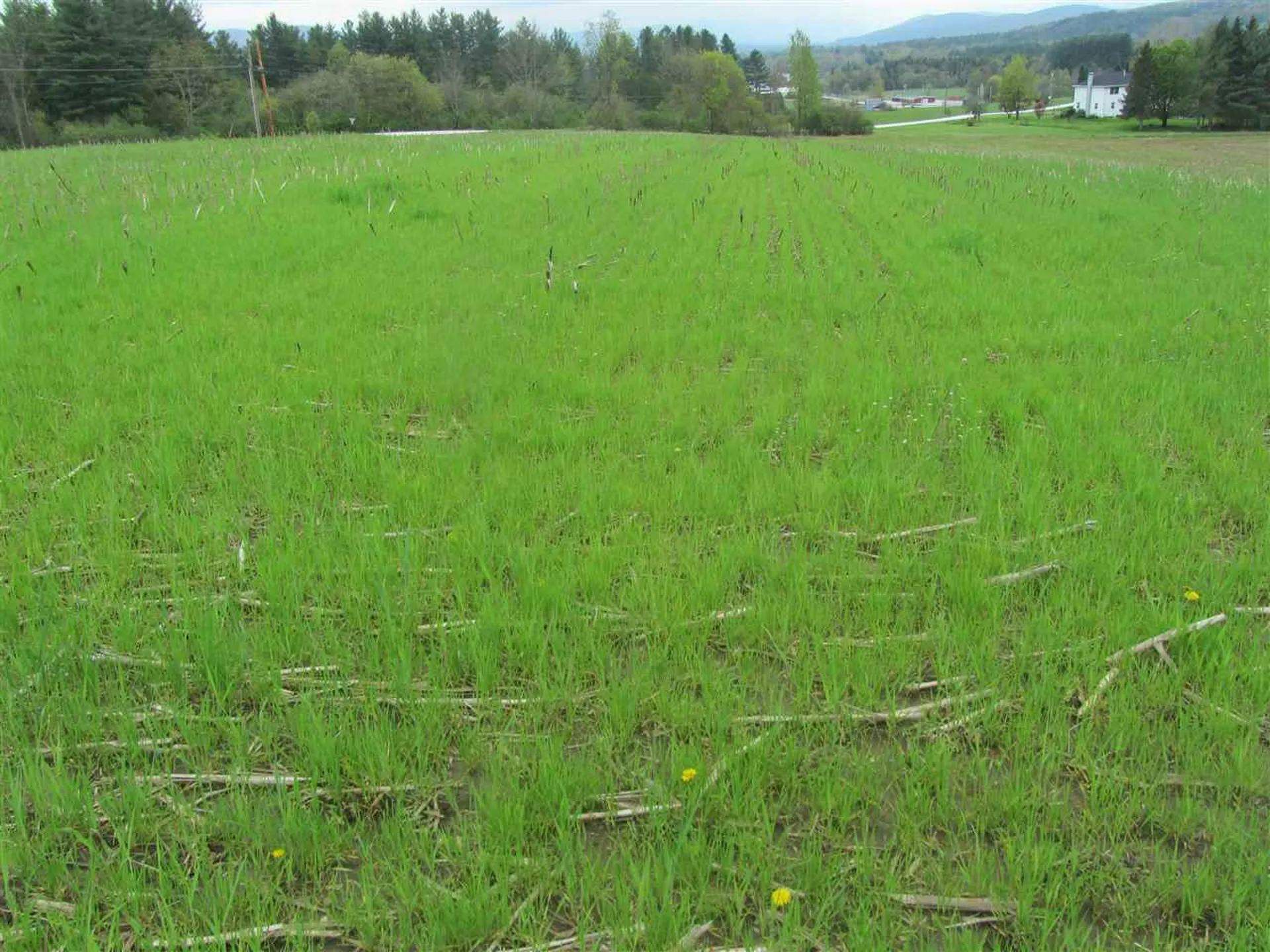 2500 Us Route 7 North Rutland Town VT 05701