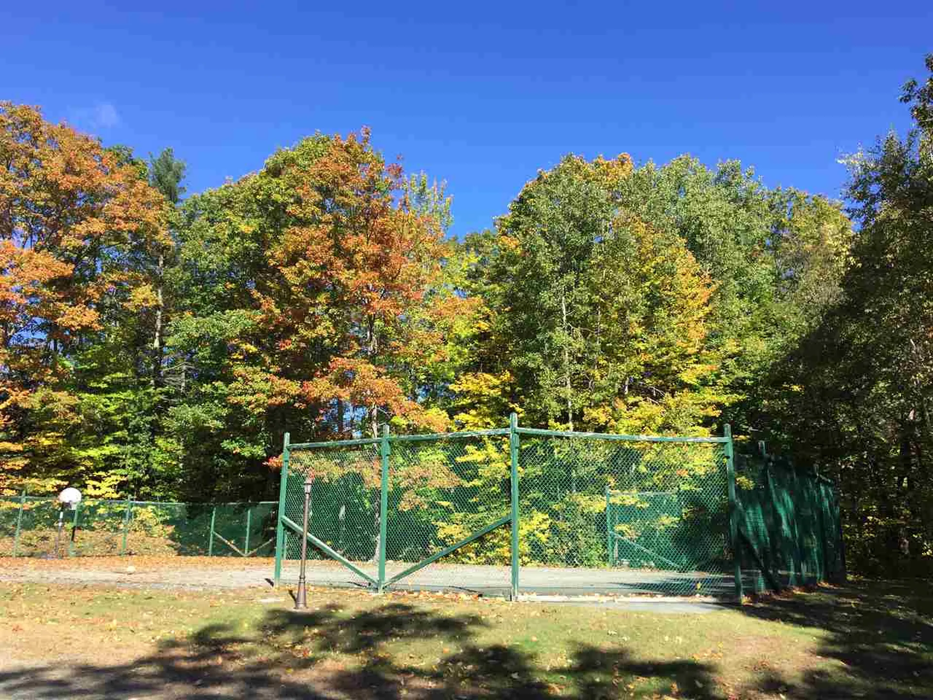 1198 Mayhew Turnpike Bridgewater NH 03222