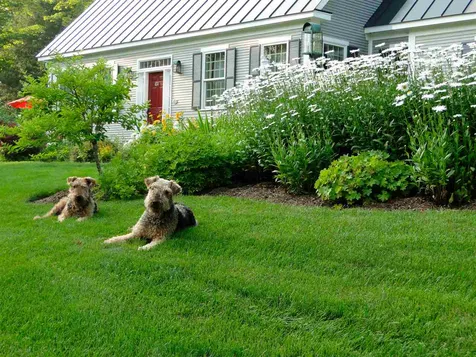 248 Davis Road Barnard VT 05031