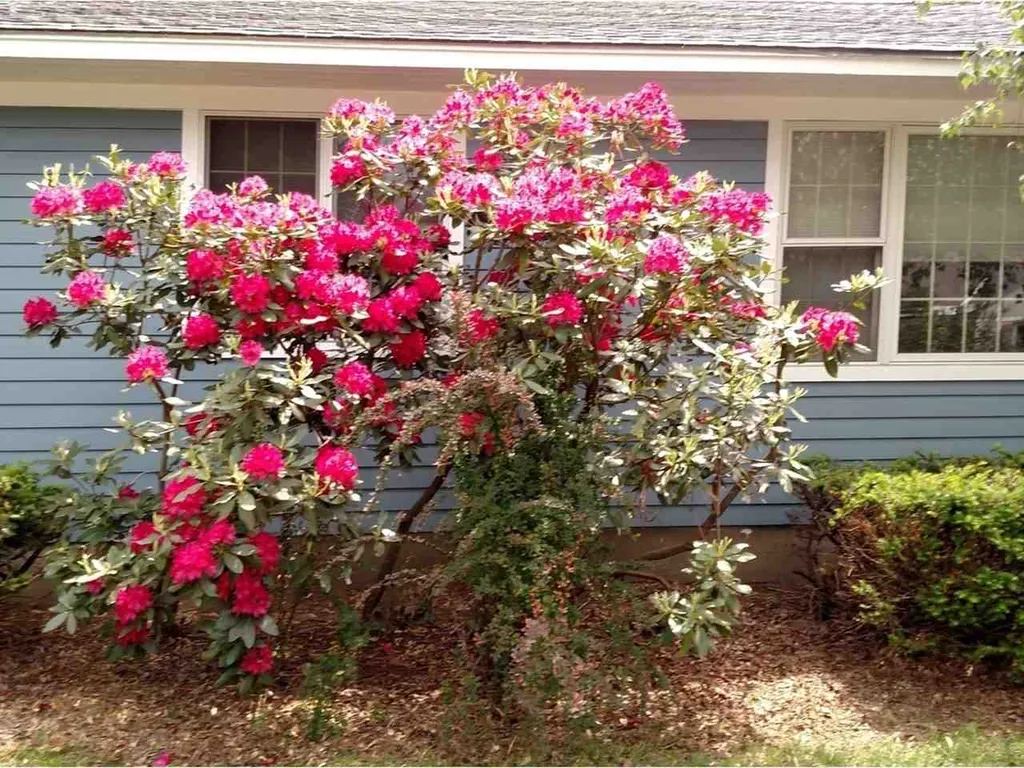 17 Barrett Street South Burlington VT 05403
