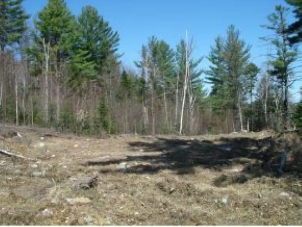 Route 16 Milan Highway Milan NH 03588