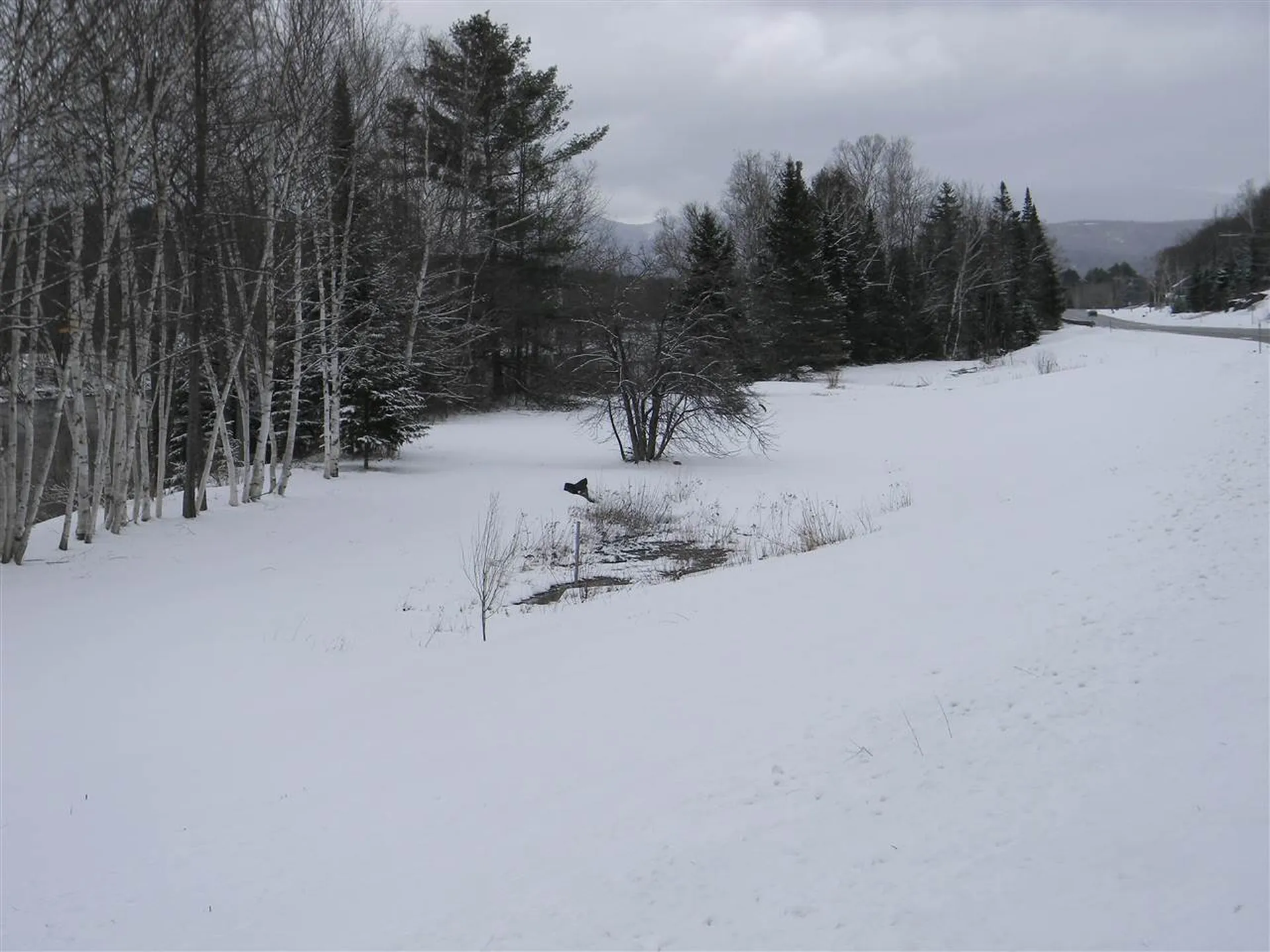 Route 16 Milan Highway Milan NH 03588