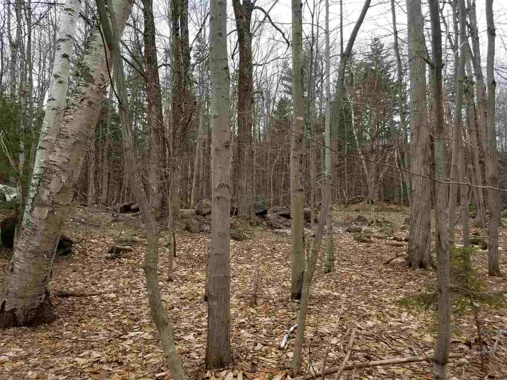 44-3 Hemlock Hill Road Wardsboro VT 05355
