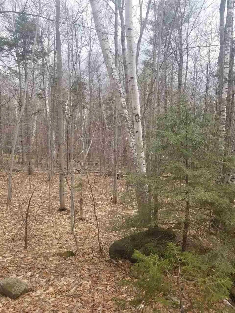 44-3 Hemlock Hill Road Wardsboro VT 05355