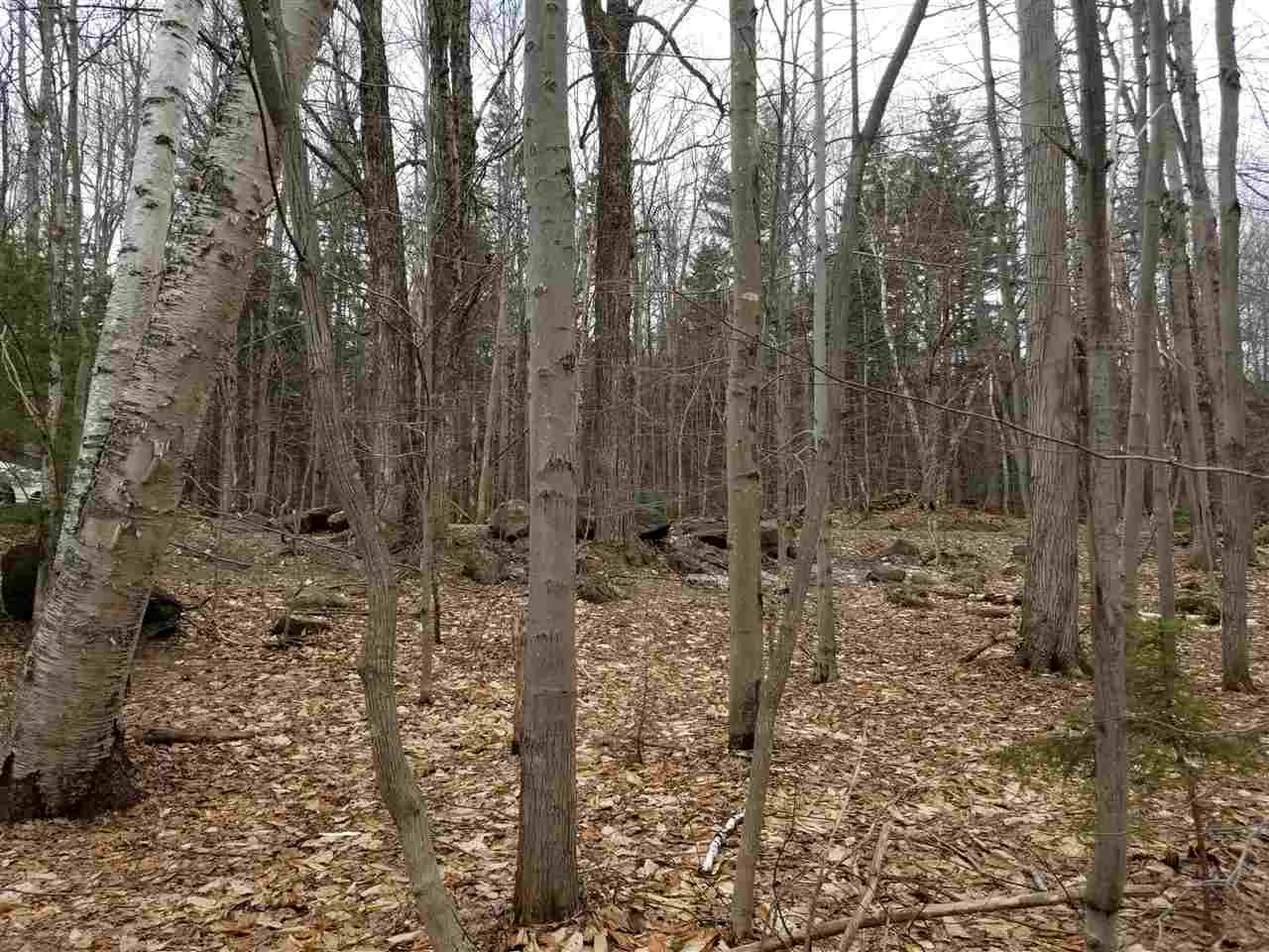44-3 Hemlock Hill Road Wardsboro VT 05355