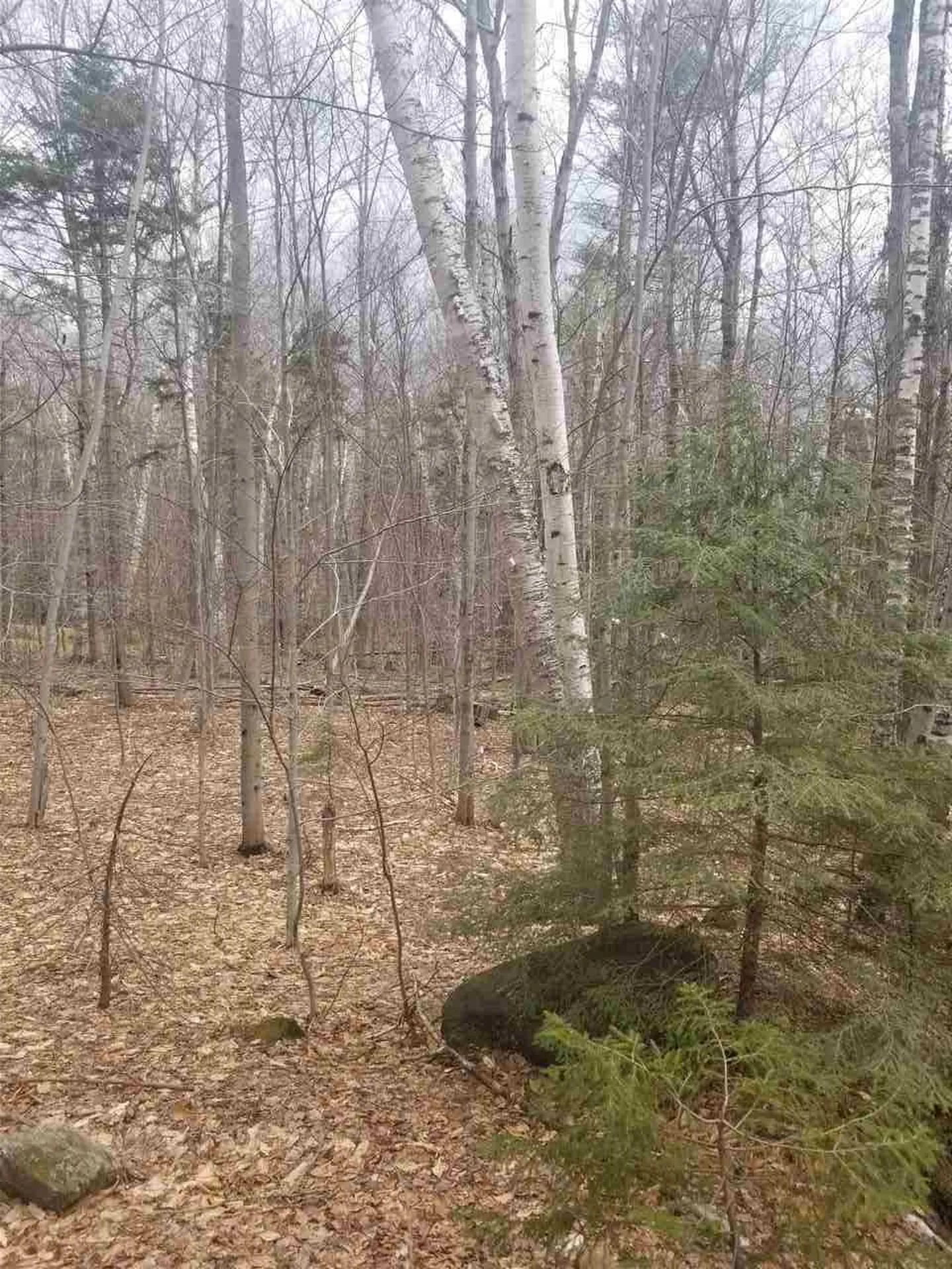 44-3 Hemlock Hill Road Wardsboro VT 05355