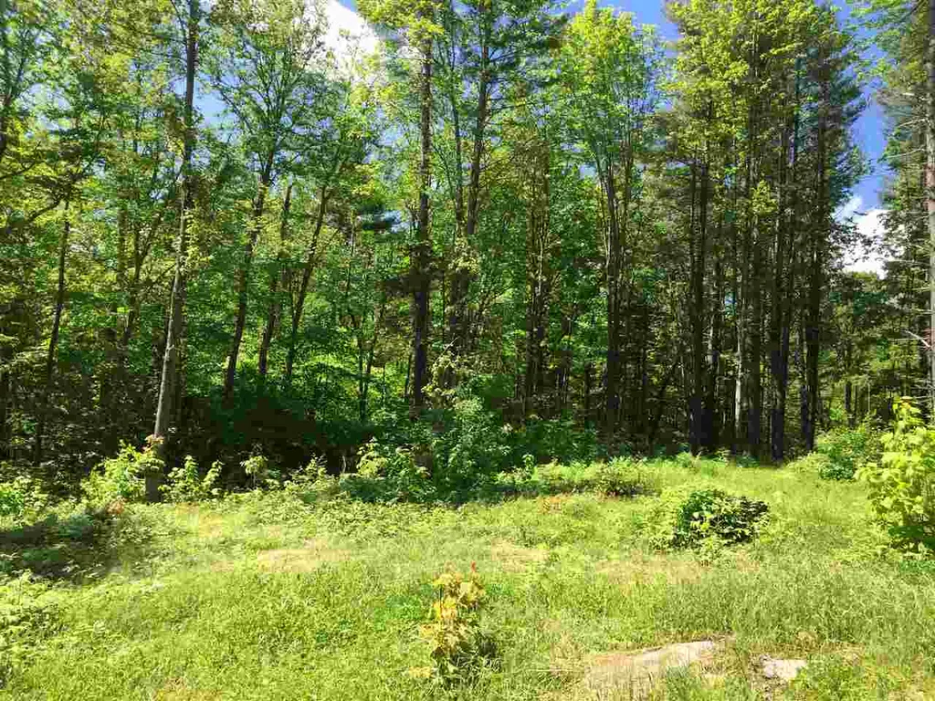 Toad Road Windham VT 05359