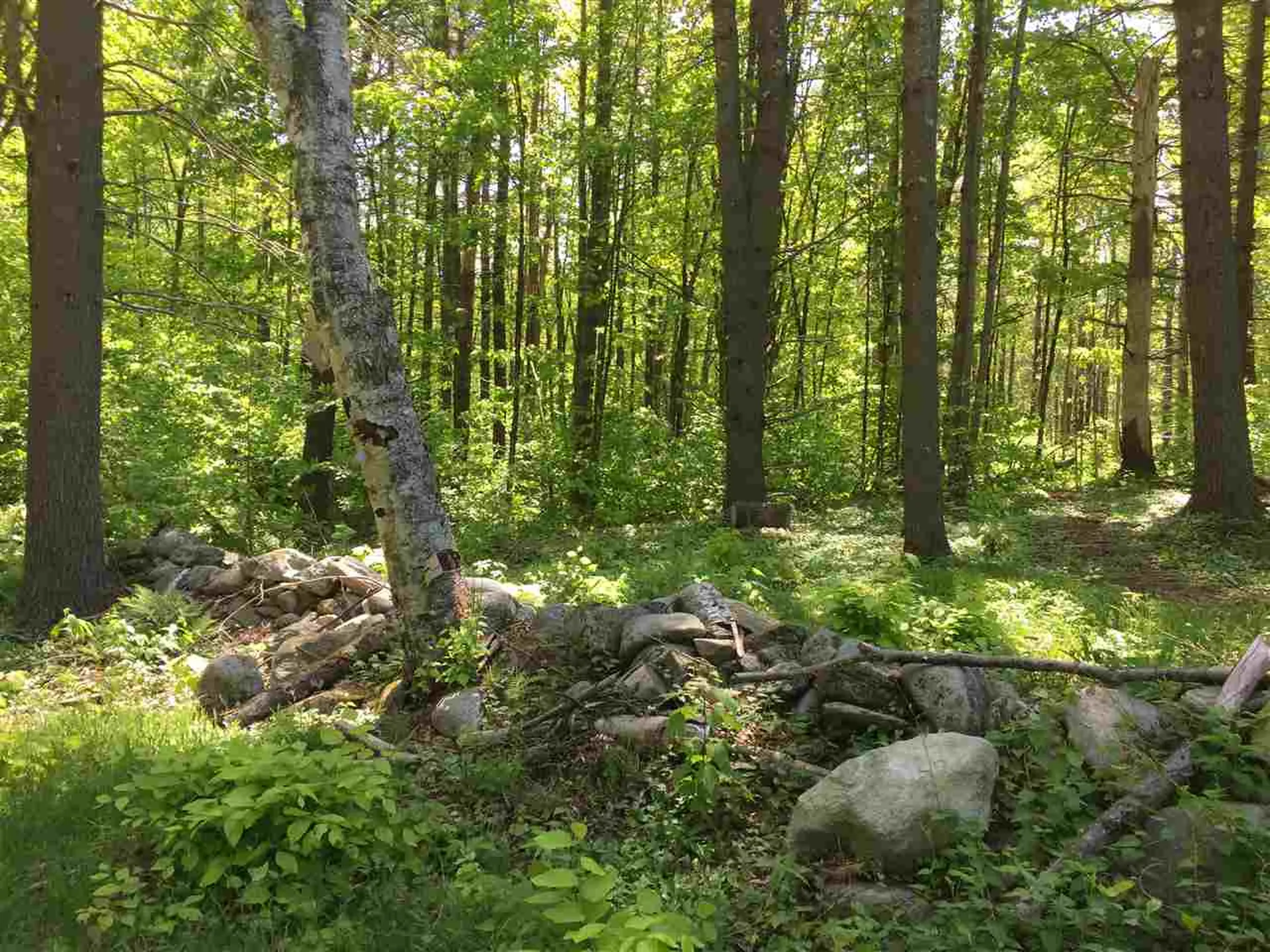 Toad Road Windham VT 05359