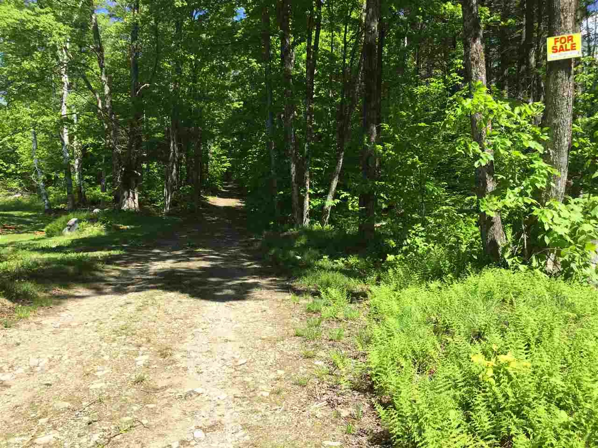 Toad Road Windham VT 05359