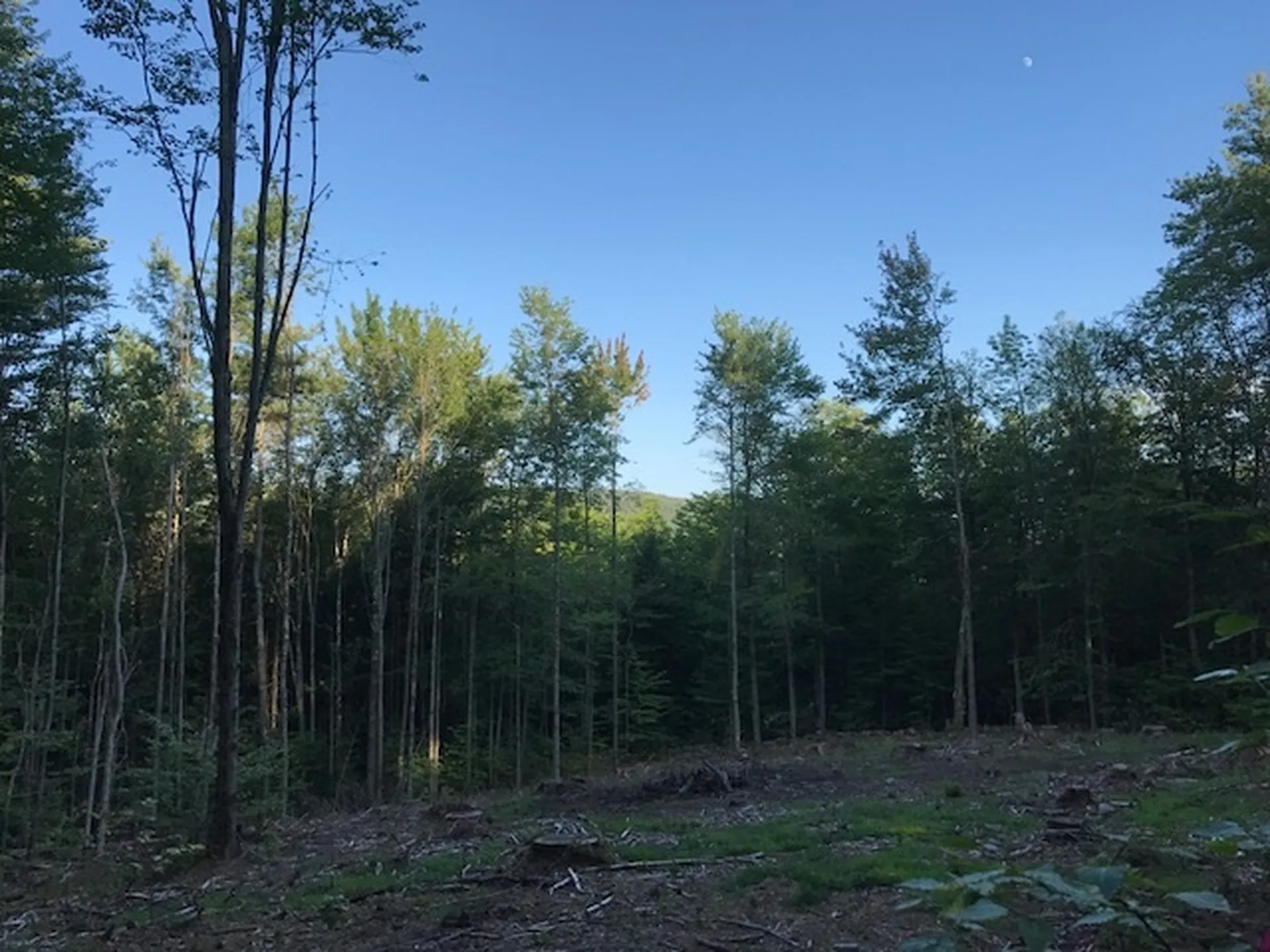 Toad Road Windham VT 05359