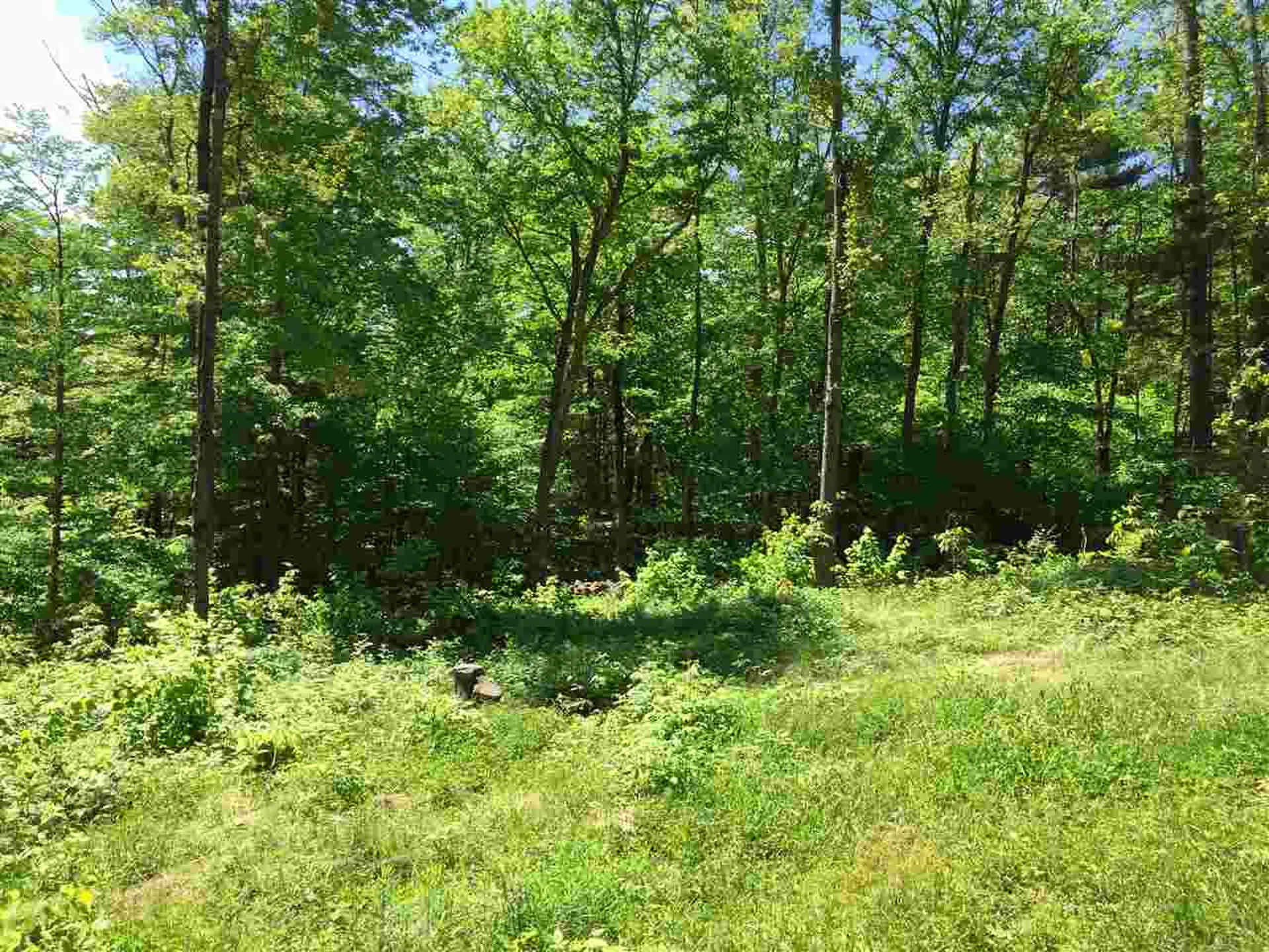 Toad Road Windham VT 05359