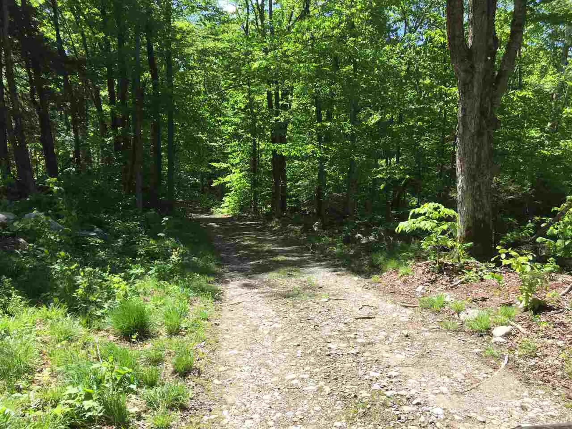 Toad Road Windham VT 05359