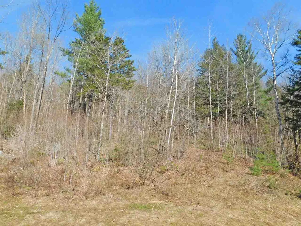 95 Harpers Way Drive Granville VT 05747