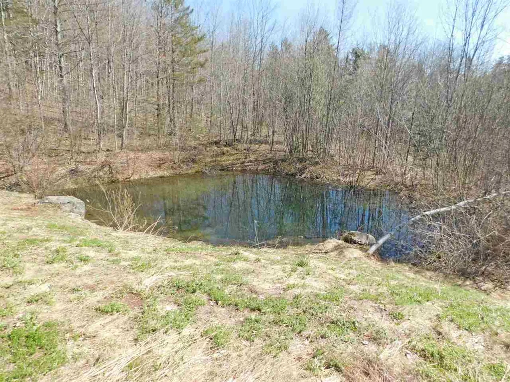95 Harpers Way Drive Granville VT 05747