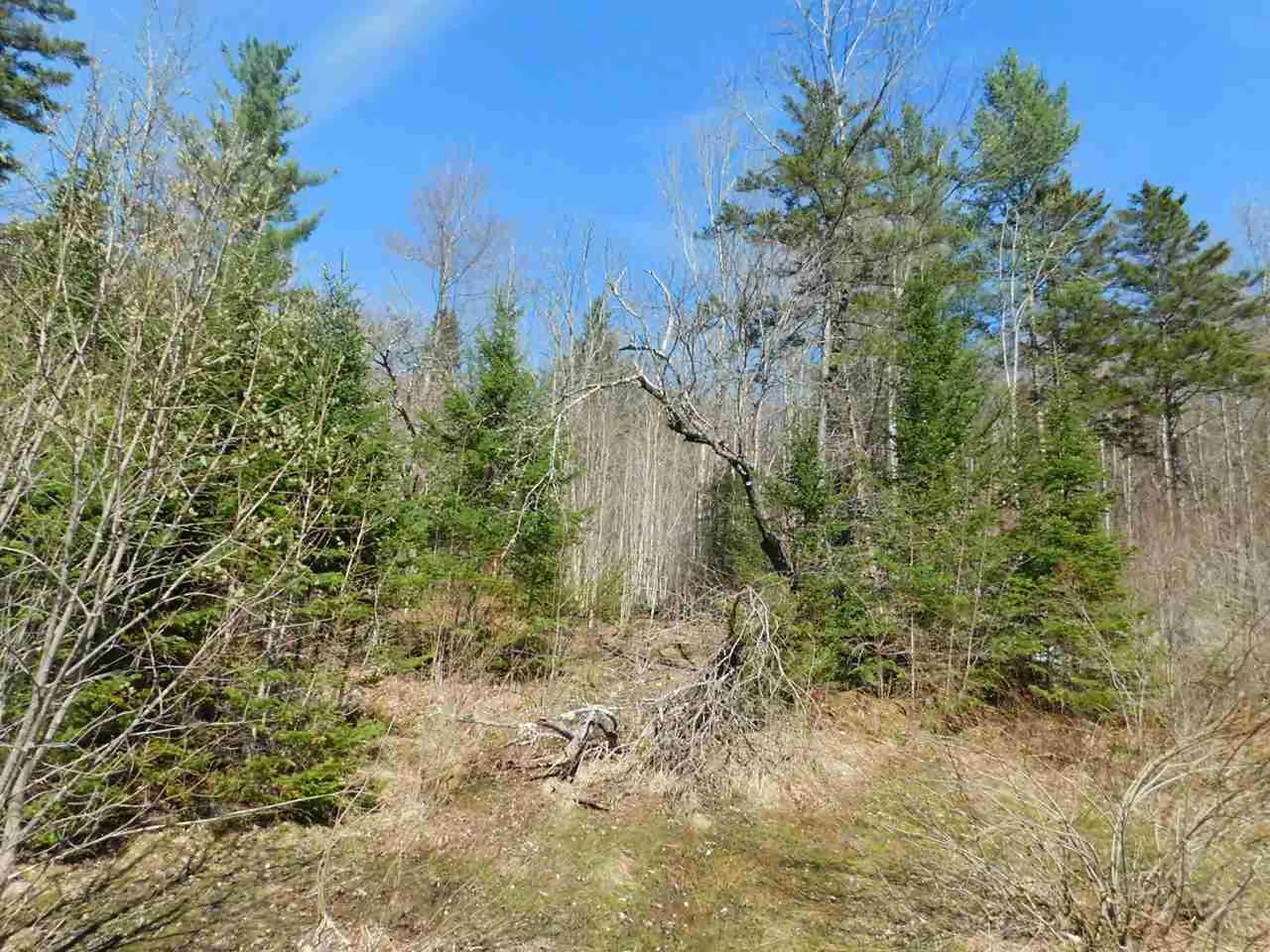 95 Harpers Way Drive Granville VT 05747